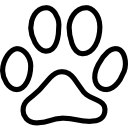 cat,footprint icon