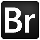 adobe, bridge icon