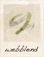 webblend icon