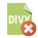file,format,divx,close icon