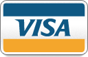 business, buy, card, cash, checkout, credit, donate, financial, income, offer, online, order, payment, price, sale, service, shopping, visa icon