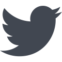 social media, twitter svg vector icon