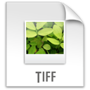 file, tiff, z icon
