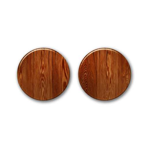 flickr icon