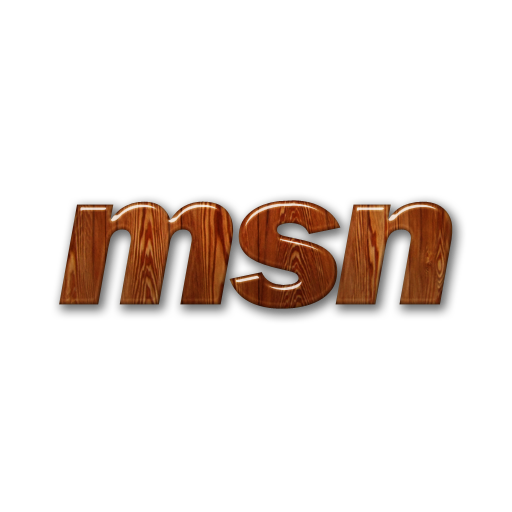 msn,logo icon