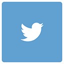 twitter icon