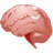brain icon