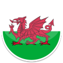 wales icon