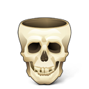 skull icon