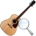 guitar,zoom,instrument icon