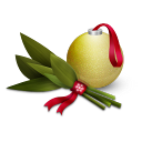 ornament icon