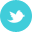 twitter,old icon
