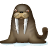 walrus icon