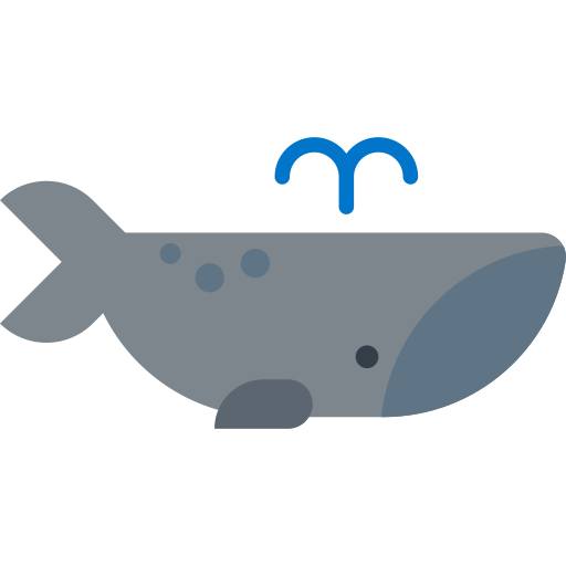 Whale svg vector icon