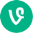 vine icon