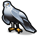 hawk,animal icon