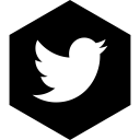 hexagon, media, social, twitter svg vector icon