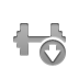 weight,down icon
