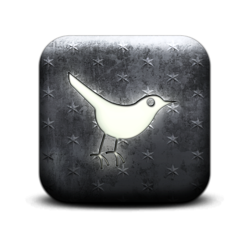 twitter,bird,animal,social network,social,sn icon