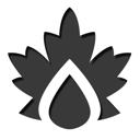 43 icon