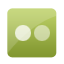 flickr icon