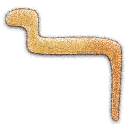 cobra,embossed icon