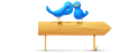 animals, bird, sign, twitter icon