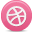 dribbble icon