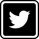 media, social, twitter svg vector icon