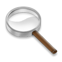 magnify icon