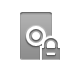 switch,lock icon
