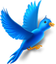 bird, twitter icon