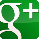 googleplus,gloss,green icon