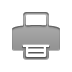 print icon