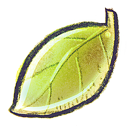 leaf icon