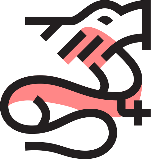 Dragon svg vector icon