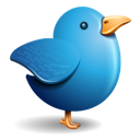 bird, twitter icon