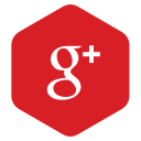 goolge, logo, network, red svg vector icon