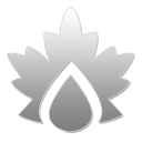43 W icon