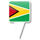 guyana icon