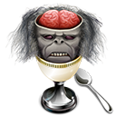 chilled,monkey,brain icon