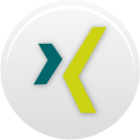 xing icon