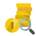 coin,zoom icon
