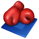 boxing icon