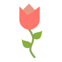 blossom, ecology, floral, flower, nature, spring, tulip svg vector icon