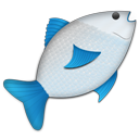 fish,animal icon