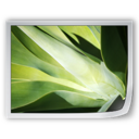 image icon