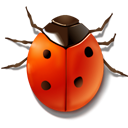 bug,animal,insect,ladybird icon