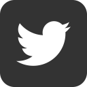 bird, message, social media, twitter svg vector icon