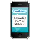 twitter,social network,social,sn icon